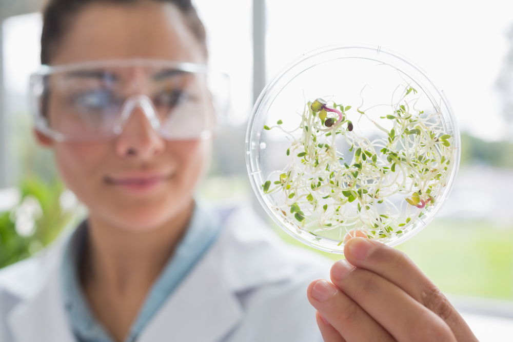CyrusOne Sustainability: Why Are Native Plants Important?