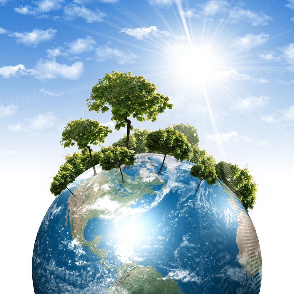 24/7 Ecosystem Services